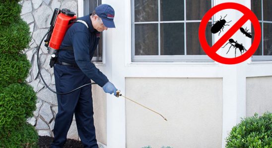 Dernekpazarı Tahtakurusu İlaçlama böcek ilaçlama ve haşere kontrolü — ilaclama-tr.com